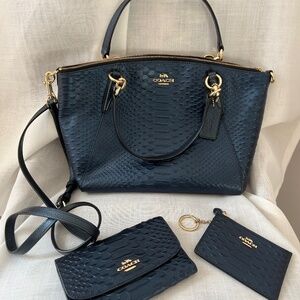 Coach Purse with matching wallet and key card case